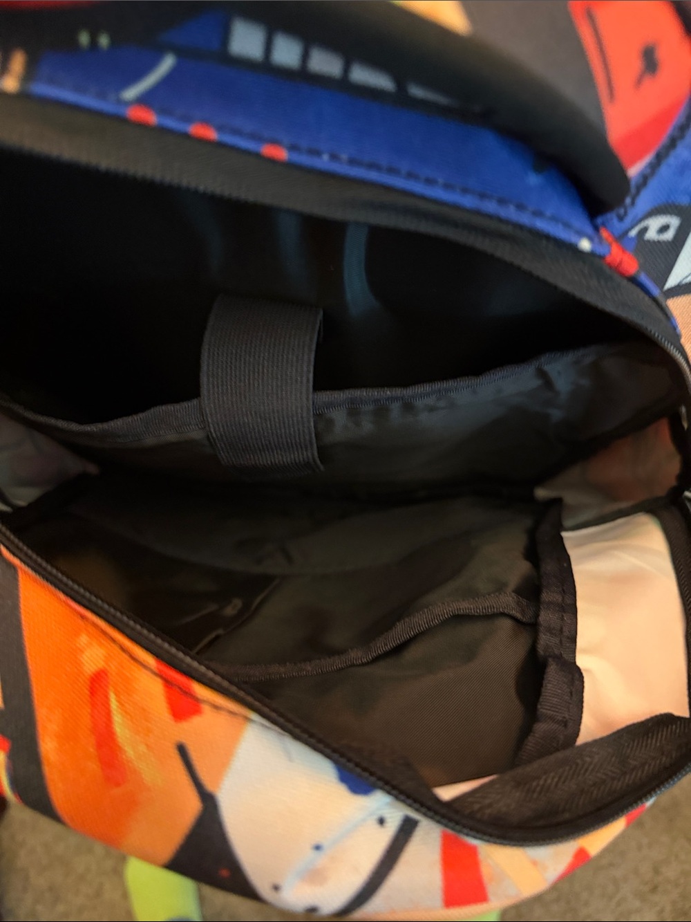 DSG Colorblock Graphic Backpack - Picture 3 of 4